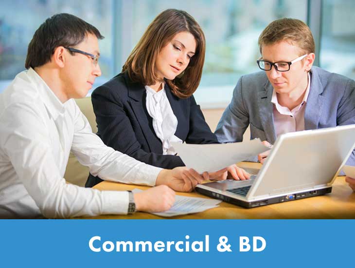 Commercial or BD Meeting